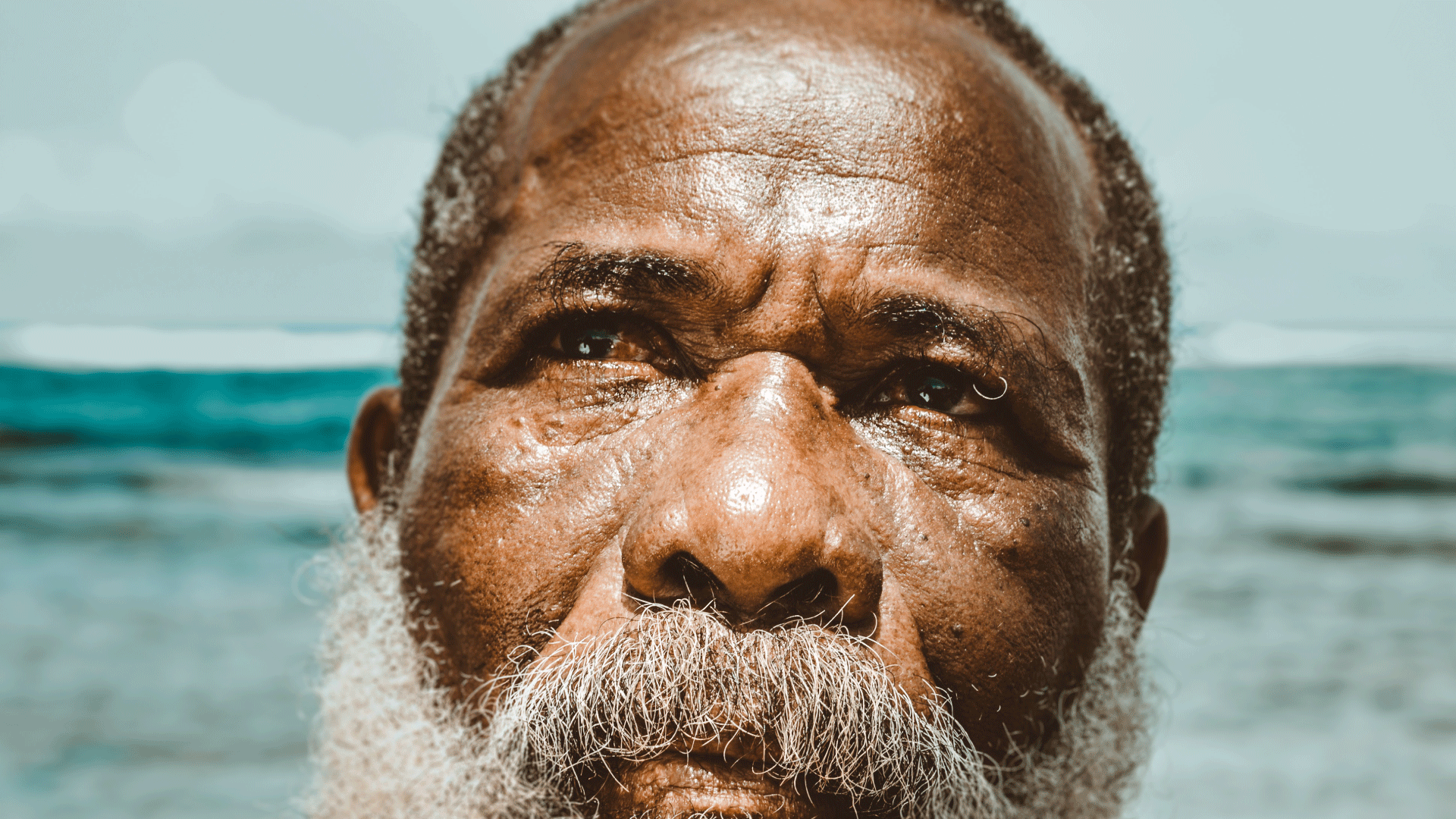 photo of a senior african american man